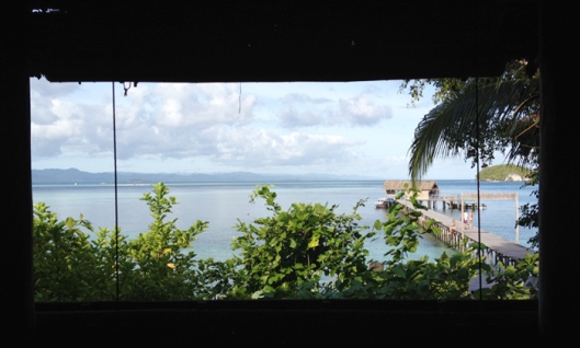 Pemandangan dari jendela Papua Diving.